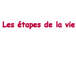 la vie